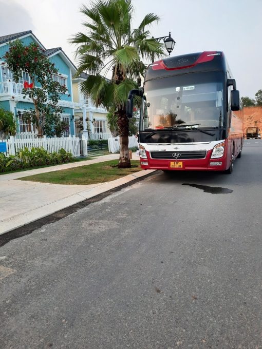 Limousine 29c - Ảnh 7