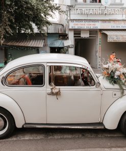 Xe hoa mui trần