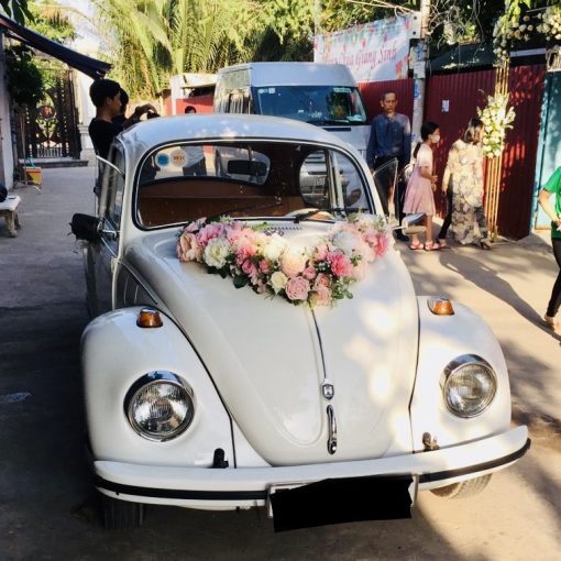 Xe hoa mui trần - Ảnh 24