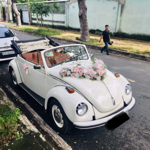 Xe hoa mui trần - Ảnh 20