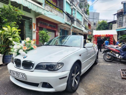 Xe hoa mui trần - Ảnh 8
