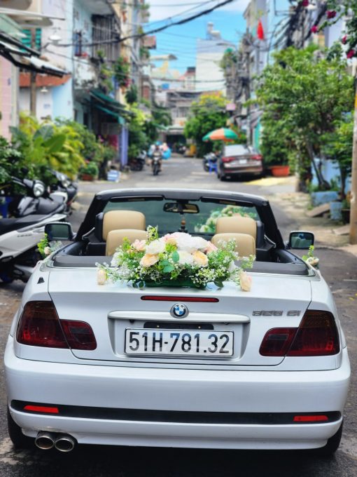 Xe hoa mui trần - Ảnh 7