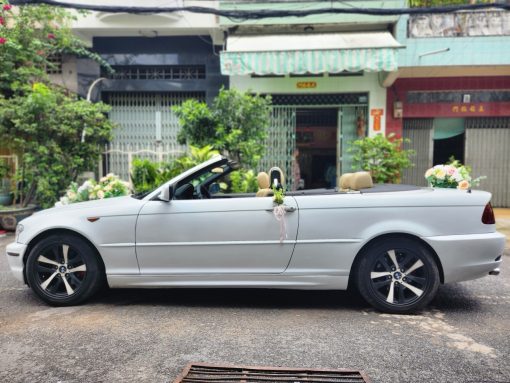 Xe hoa mui trần - Ảnh 6