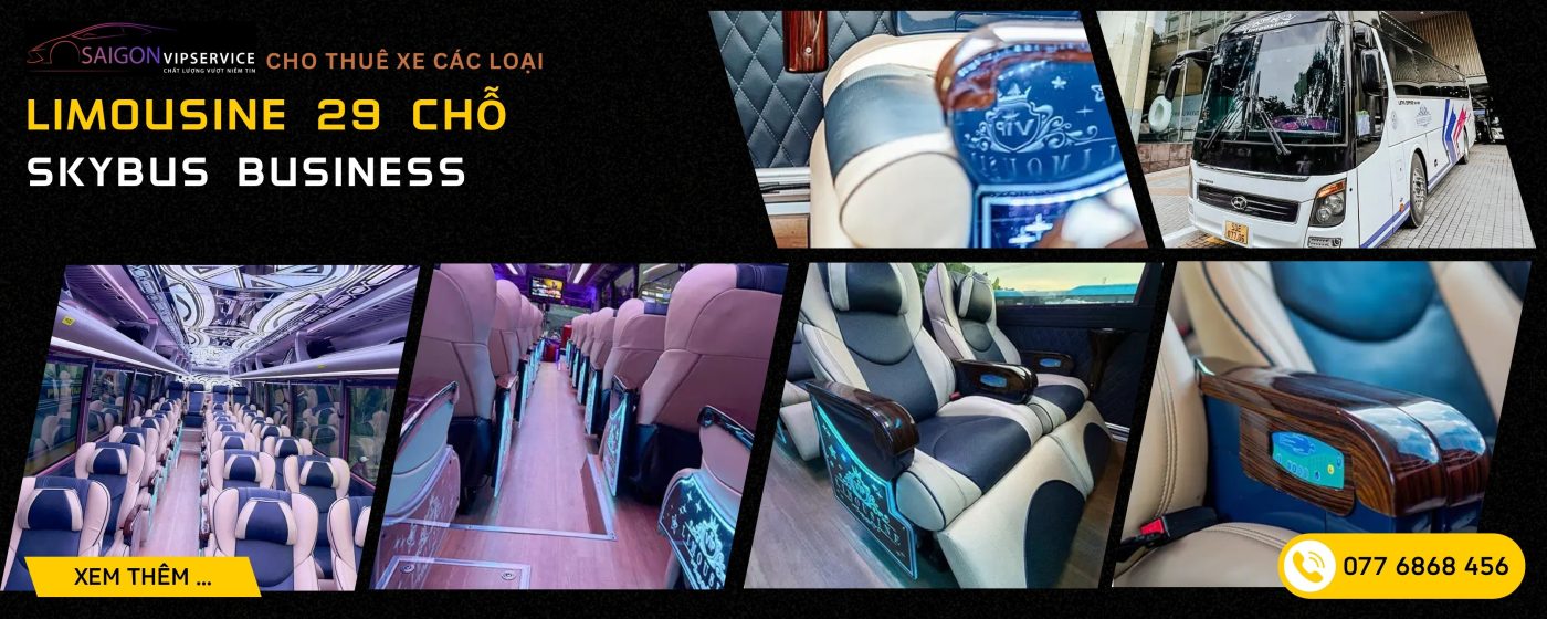 Xe Skybus Business 29 chỗ với ghế da cao cấp, đèn trần hiện đại và khoang xe tiện nghi
