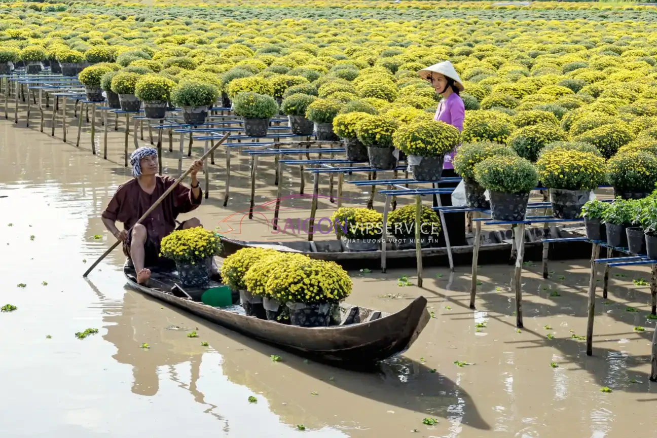 Thuê xe đi Đồng Tháp