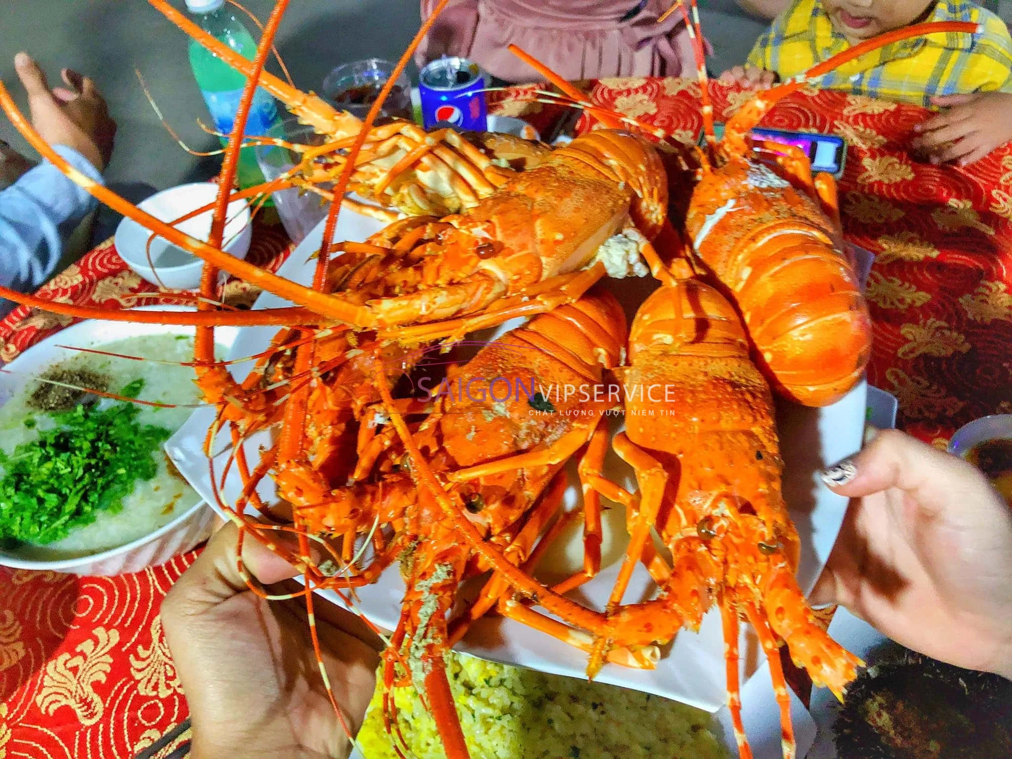 Tôm hùm Bình Hưng tươi sống màu cam đỏ, đặc sản hải sản cao cấp nổi tiếng của vùng biển đảo