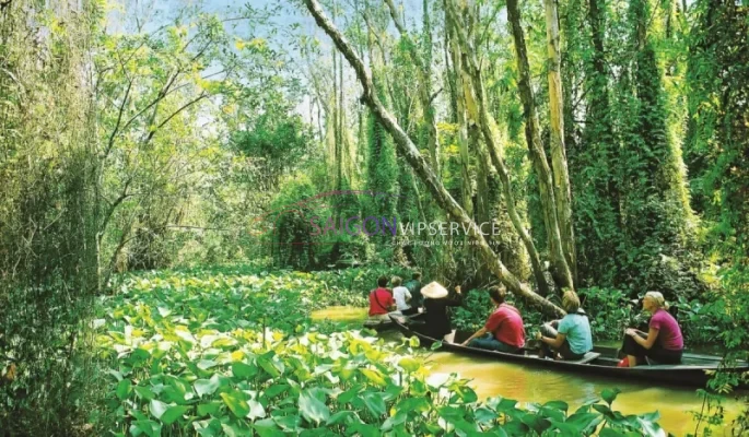 Vẻ đẹp xanh mát, hoang sơ của hệ sinh thái rừng đước và tràm tại Khu du lịch sinh thái Vàm Sát, Cần Giờ.