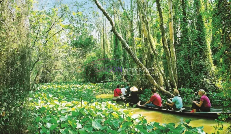 Vẻ đẹp xanh mát, hoang sơ của hệ sinh thái rừng đước và tràm tại Khu du lịch sinh thái Vàm Sát, Cần Giờ.