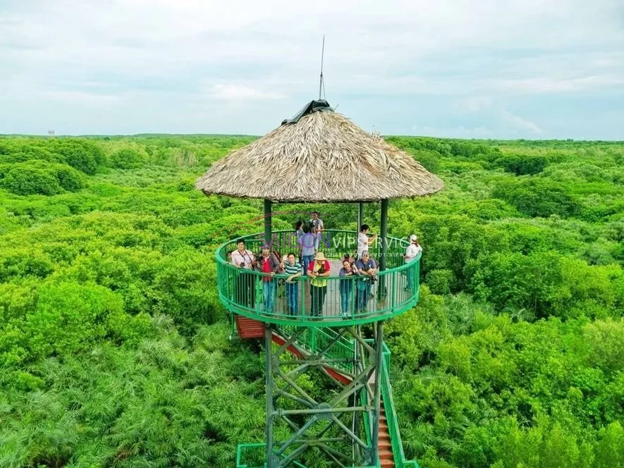 Nhóm du khách đang đứng trên đài quan sát Tháp Tang Bồng ngắm nhìn toàn cảnh hệ sinh thái đước bao la tại Vàm Sát, Cần Giờ.